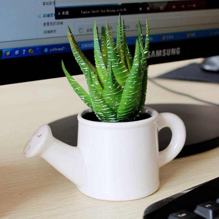 2020年辦公桌上面擺放什么植物比較好呢? 2020年辦公桌上面擺放什么植物比較好呢?